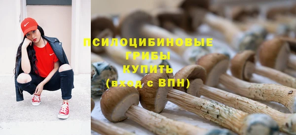 бутират Бугульма