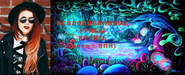 PSILOCYBIN Богородицк