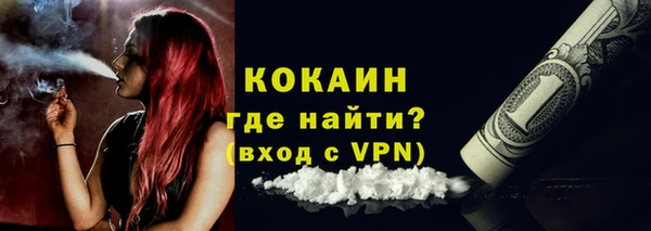 ECSTASY Богородск