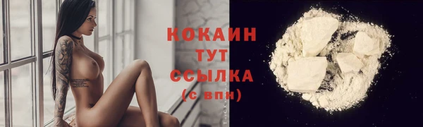 ECSTASY Богородск
