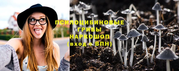 амф Бородино