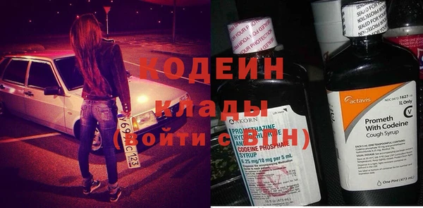 амф Бородино