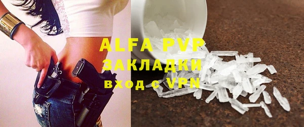 амф Бородино