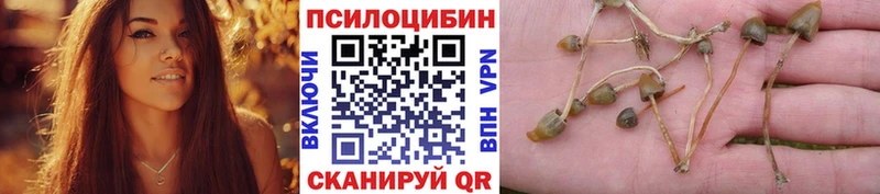 Галлюциногенные грибы Psilocybe Чудово